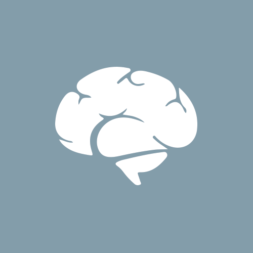 Brain, pituitary gland, pineal gland