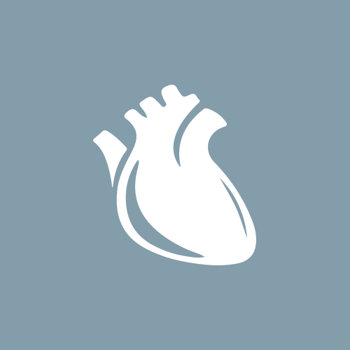 Heart and circulatory system