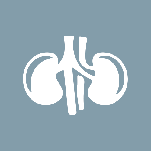 Kidneys
