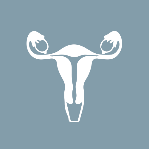 Female reproductive system