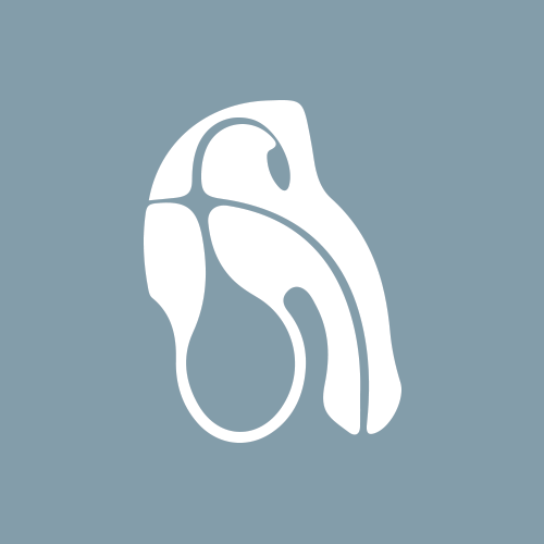 Male reproductive system