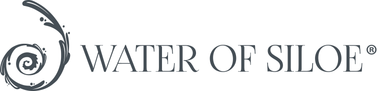Water of Siloe